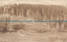 R123994 Old Postcard. Aerial View. Fields And Forest - World