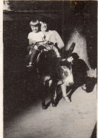Photographie Vintage Photo Snapshot âne Donkey Vichy Enfant Child - Autres & Non Classés