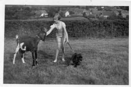 Photographie Vintage Photo Snapshot Chèvre Goat Chien Dog Fille Fillette - Autres & Non Classés