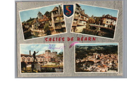 SALIES DE BEARN 64 - Le Saleys Et Vieille Maison Chute Saleys Etablissement Thermal Vue Générale 1973 - Salies De Bearn
