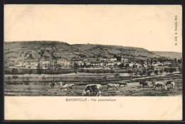 CPA Bayonville, Vue Panoramique  - Other & Unclassified