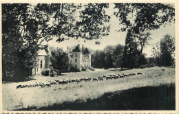 69 - VILLE DE LYON - ECOLE MUNICIPALE D'AGRICULTURE DE CIBEINS PAR MIZERIEUX - LE CHATEAU ET LA CHAPELLE - Other & Unclassified