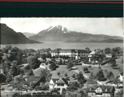 10563914 Weggis Vierwaldstaettersee Weggis Ferienhaus X 1966 Weggis - Autres & Non Classés