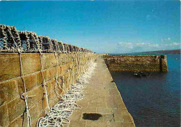 Metiers - Peche - Pecheur - Prêts Pour Le Prochain Départ - Carte Neuve - CPM - Voir Scans Recto-Verso - Fishing