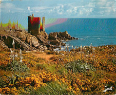 85 - Ile D'Yeu - La Lande Fleurie Devant Le Vieux Château - Flamme Postale De L'Ile D'Yeu - CPM - Voir Scans Recto-Verso - Ile D'Yeu