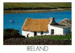 Irlande - A Traditional Irish Cottage - Ireland - CPM - Voir Scans Recto-Verso - Otros