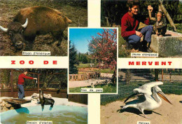 Animaux - Zoo De Mervent - Multivues - CPM - Voir Scans Recto-Verso - Other & Unclassified