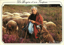 Animaux - Moutons - Bergère Et Son Troupeau - CPM - Voir Scans Recto-Verso - Autres & Non Classés