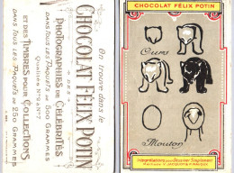 Chromos - Chocolat Félix Potin - Interprétation Pour Dessiner L'Ours Mouton - Méthode Jacquot Et Ravoux - Autres & Non Classés
