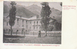 ITALIA - BARDONECCHIA (torino) - Proprietà C. Amadesi, Appartamento Mobigliati, Animata,1900 Circa - M-21-229 - Other & Unclassified