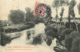 89 - BRIENON - L'ARMANCON VU DU PONT - Brienon Sur Armancon