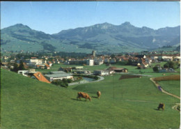 10563752 Appenzell IR Appenzell  X 1991 Appenzell - Other & Unclassified