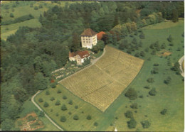 10563709 Schloss Heidegg Schloss Heidegg Fliegeraufnahme Gelfingen - Sonstige & Ohne Zuordnung
