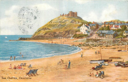 PAYS DE GALLES    THE CASTLE CRICCIETH  ILLUSTRATEUR  F.E. QUINTON - Caernarvonshire