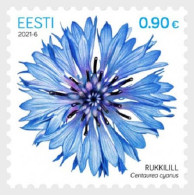 2021 1049 Estonia Cornflower Centaurea Cyanus MNH - Estonie