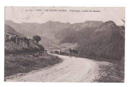 LE MONT DORE - 63 - Paysage - Route De Besse - Vaches En Liberté - Le Mont Dore