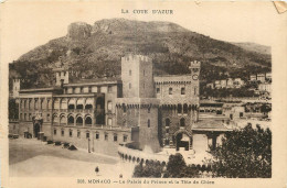 MONACO  LE PALAIS DU PRINCE ET LA TETE DE CHIEN - Sonstige & Ohne Zuordnung