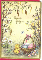 BUONA PASQUA - ALLEGORIA - EDIZ. RIMUP - VIAGGIATA 1963 - Ostern