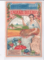 PUBLICITE : Société Des Usines DIOR - Engrais Chimiques - Lessives - Javel - Très Bon état - Werbepostkarten