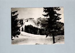 Megève (74) : Champs De Neige De Rochebrune Vers L'Alpette - Megève