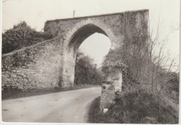 DAV : Sarthe : BOURG Le  ROI  : Vue  1967 ,porte  De Saint Mathurin - Andere & Zonder Classificatie