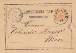 1873: Post Card Temeswar To Wien - Other & Unclassified