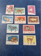 CUBA  NEUF  1964   ZOOLOGICO  DE  LA  HABANA    //  PARFAIT  ETAT  //   Sans Gomme - Nuevos