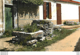 17. ILE D'OLERON . DOMINO .  Un Vieux Puits . - Ile D'Oléron