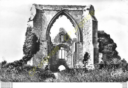 17.  ILE DE RE .  Les Ruines De L'AAbbaye Des Chatreliers . - Ile De Ré