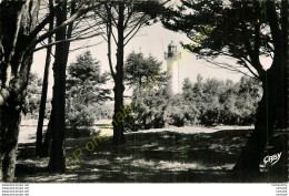 17.  ILE DE RE .  SAINT MARTIN .  La Phare De La Barbette . - Ile De Ré