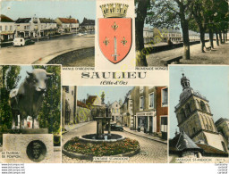 21.  SAULIEU . Souvenir De Saulieu . CP Multivues . - Saulieu