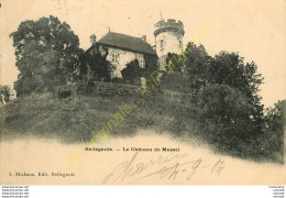 01.  BELLEGARDE .  Le Château De Mussel . - Bellegarde-sur-Valserine