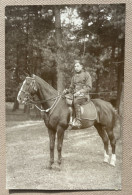 ABL - Belgische Militair Te Paard / Soldat Belge à Cheval - (Cavalerie) - 14 X 9 Cm. - Guerre, Militaire