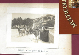 200524 - PHOTO CIRCA 1910 - 26 CREST - Un Jour De Foire - Boeuf Vache Bovin Pont - Crest