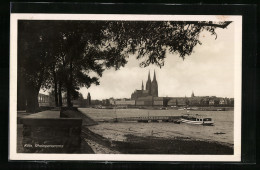 AK Köln A. Rh., Rheinpanorama Mit Blick Zum Dom  - Köln