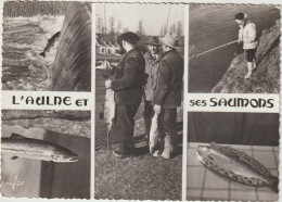 DAV : Finistère : Chateauneuf Du Faou , Rivières De Bretagne ,l ' Aulneb Et Ses  Saumons Entre Chateaulin Et Chateauneuf - Autres & Non Classés