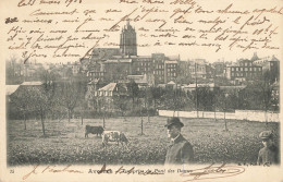 E296 Avesnes Vue Prise Du Pont Des Dames - Avesnes Sur Helpe