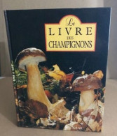 Le Livre Des Champignons - Natualeza