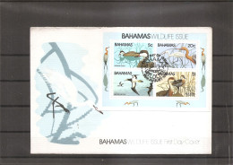 Bahamas - Oiseaux ( FDC De 1981 à Voir) - Bahama's (1973-...)