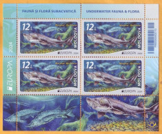 2024 Moldova H-Blatt Europa 2024. Underwater Flora And Fauna. Fish, Beluga, Mint - Moldavie