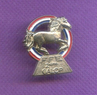 Rare Pins Ffe Federation Francaise Equitation 2 éme Galop T175 - Other & Unclassified