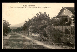 66 - ARGELES-SUR-MER - UNE ALLEE DE LA PLAGE - CACHET AMBULANT PERPIGNAN A CERBERE - Argeles Sur Mer