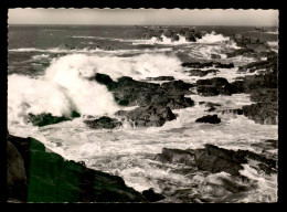 22 - PLOUGRESCANT - LES ROCHERS DE CASTEL-MEUR PAR GROSSE MER - Plougrescant