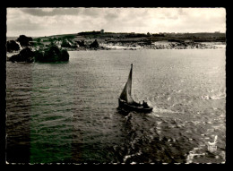 22 - PLOUGRESCANT - VUE AERIENNE - RETOUR DE PECHE - Plougrescant