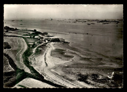 22 - PLOUGRESCANT - VUE AERIENNE - LE CASTEL - Plougrescant