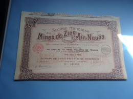 MINES DE ZINC D'AIN NOUBA - Sonstige & Ohne Zuordnung