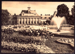 AK 212664 GERMANY - Pillnitz - Schloß - Neues Palais - Pillnitz