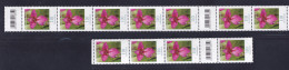 Bund 3471 Mit 2 EAN-Codes RM RE 11er Streifen Wild Gladiole 110 C ** Große Nr - Rollenmarken