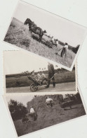 Paysans  -matériel Agricole - Photo Format 11.3 X 6.7 -  (G.2792) - Other & Unclassified