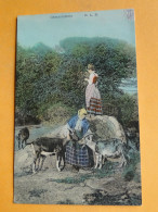 AGRICULTURE -- " Camaraderie " - 2 Gardiennes Et Leurs Chèvres - Belle Cpa Colorisée - Breeding